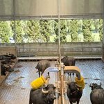 Photo taken by cassie f