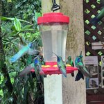 Photo taken by Charles H