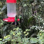 Photo taken by Darcy M