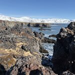 Photo taken by Cathy N