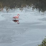 Photo taken by Lisa P