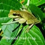 Photo taken by Susan D