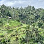 Photo taken by Kim L