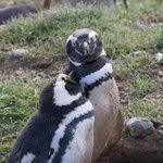 Photo taken by Mariellen S