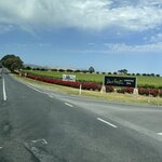 Photo taken by Susan C