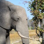 Photo taken by John B