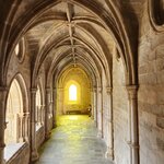 Photo taken by Wayne Z