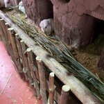 Photo taken by Stephanie S