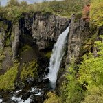 Photo taken by Lauri F