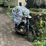 Photo taken by Jessica M