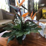 Photo taken by ted m