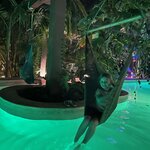 Photo taken by Deena B