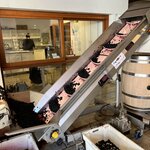 Photo taken by Dianne W