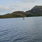 Photo taken by Stefani C