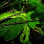 Photo taken by Emelyn J