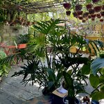 Photo taken by Kelly D