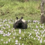 Photo taken by Jean A