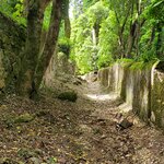 Photo taken by Debbie W