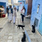 Photo taken by Heather H