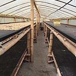 Drying shed | Photo taken by David B