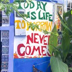 Photo taken by Kristy T