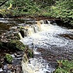 Photo taken by David L