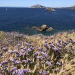 Photo taken by Shawn G