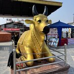 Photo taken by Kathy O