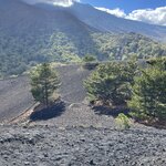 Photo taken by Cecilia M