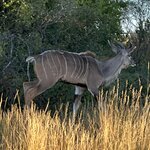 Photo taken by Tom B