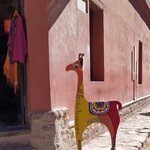 Photo taken by Jenny P