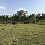 Photo taken by Wendy T