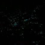 Photo taken by Thao T