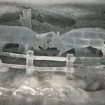 Photo taken by Tommy B