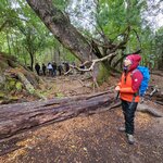 Photo taken by Devon B