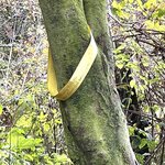 Photo taken by David L