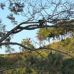 Photo taken by JULIE M