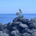 Photo taken by Norma G