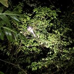 Photo taken by Bonnie Y