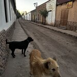 Photo taken by Rizal K