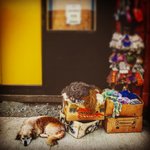 Chiloé village | Photo taken by Beth S