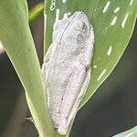 Photo taken by Bonnie Y