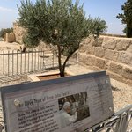 Photo taken by Veronique B