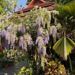 Photo taken by Aya I