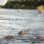 Photo taken by rhonda c