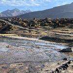 Photo taken by Lisa K