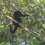 Photo taken by ted m