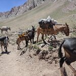 Photo taken by Barton K B