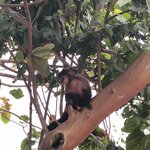 Photo taken by Kaitlin J