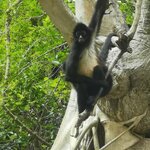 Photo taken by Wouter K